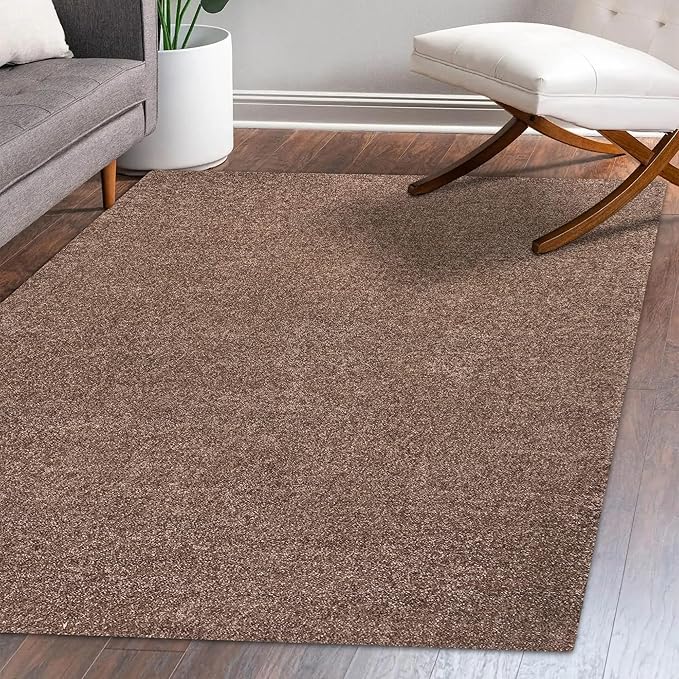 Eyely UES100J-6 Supersoft Haze Solid Low-Pile Indoor Area Rug, Coastal, Bohemian, Minimalist, Classic, Casual for Bedroom,Kitchen,Living Room,Non Shedding,Easy-Washing, Brown, 6 X 9