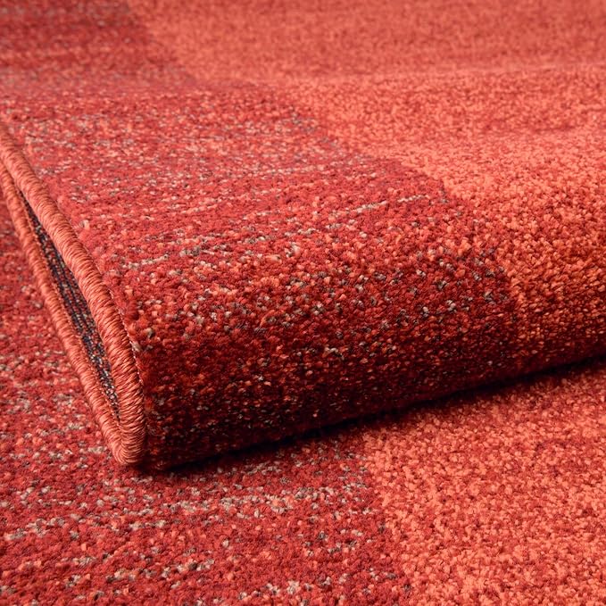 Rugs.com Angelica Collection Rug – 6' x 9' Terracotta Medium Rug Perfect for Bedrooms, Dining Rooms, Living Rooms