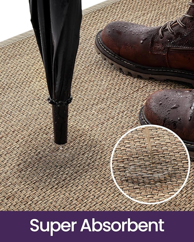 DEXI Ultra Thin Entryway Indoor Door Mat 32x48, Non Slip Rubber Backing Inside Entry Mat, Low Profile Easy Clean Dirt Trapper Doormat for Inside Entrance Patio, Beige