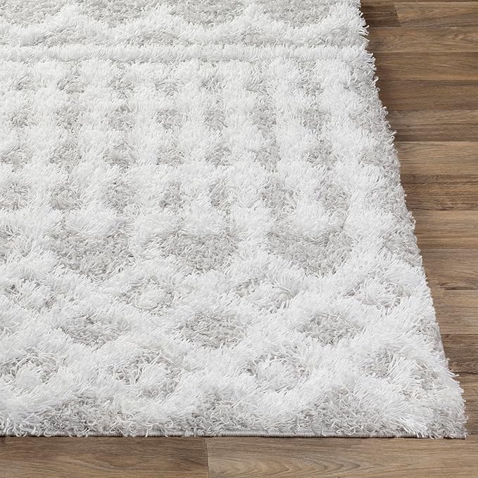 Livabliss Hapsburg Moroccan Shag Area Rug, 2' x 2'11", Light Gray