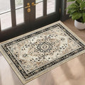 XWZO Entryway Area Rug 2x3ft — Soft Low Pile Non-Slip Door Mat for Bedroom Bathroom Kitchen Laundry, Spill Resistant Washable Small Indoor Carpet for Doorway & Entrance, Brown Beige