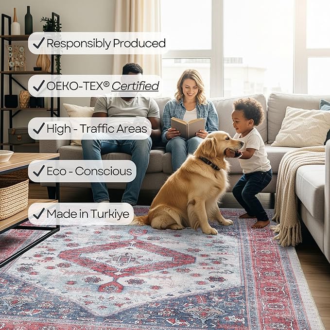 Fame Rugs Turkish Rug. Washable Vintage Oriental Antique Inspired Traditional Doormat Small Modern Area Rugs Luxury Entryway Entry Bedroom Bathroom Kitchen (402RN, 2' x 3')