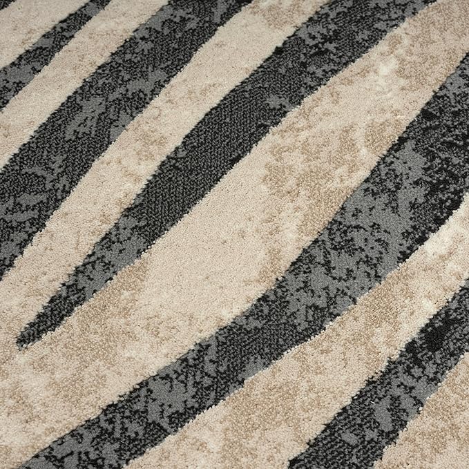 Abani Terra Area Rug for Living Room, Bedroom - Zebra Pattern - Black Cream - 4' x 6' - Durable & Easy to Clean