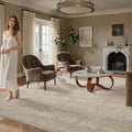 Valenrug Washable Rugs 5x7 - Stain Resistant 5x7 Area Rugs for Living Room, Non Slip High-Low Pile Textured Area Rugs for Bedroom, Folable Machine Washable Area Rug (5'x7', Beige) ﻿
