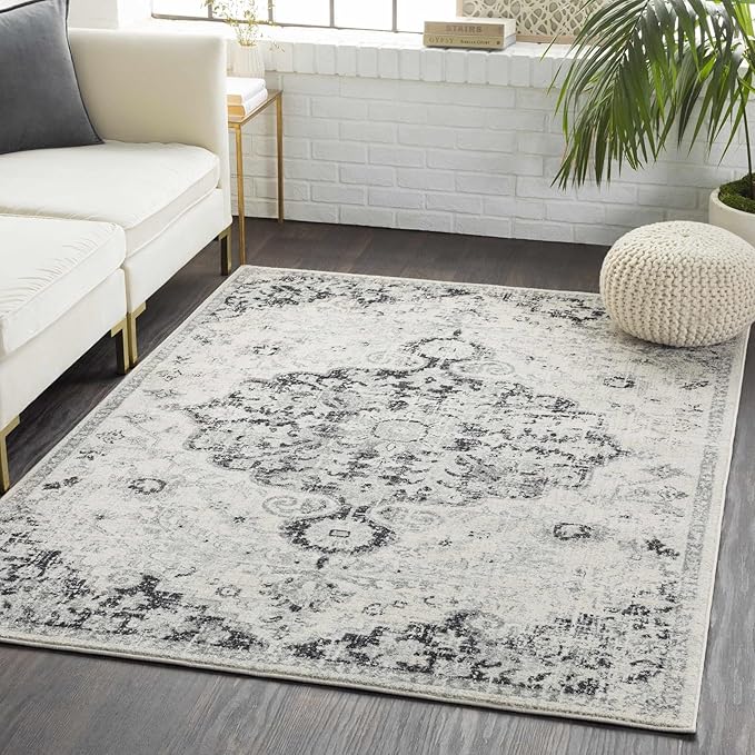 Livabliss Odelia Vintage Bohemian Area Rug,2' x 3',Black