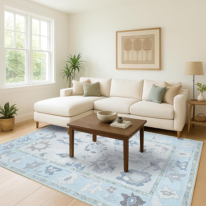 Cream Blue Oushak Rug, Modern Small Rugs, Vintage, Turkish, Eclectic, Floral, Pastel, Washable, Door Mat, Doormat for Indoor Entrance, Entryway, Kitchen, Bathroom, Bedroom, Laundry, 2'x3'