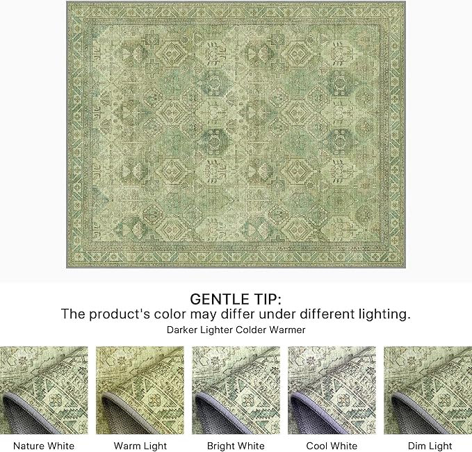 Bavni 2x3 Entryway Rug Bathroom Rugs for Front Door Bedroom Bathroom Kitchen, Washable Vintage Print Carpet, Ultra-Thin Chenille Lightweight Rug with Non Slip Backing, Light Green