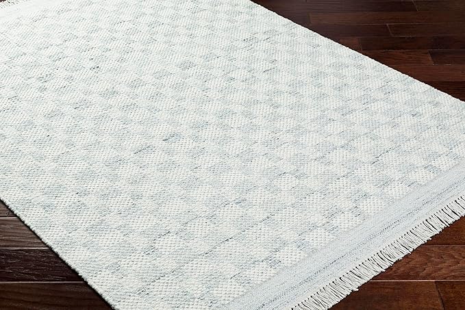 Mark&Day Wool Rugs, 2x3 Clinten Solid and Border Light Slate Checkered Rug, Cream Grey Carpet for Living Room, Bedroom or Kitchen (2' x 3')
