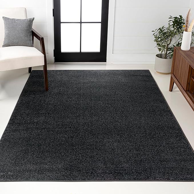 JONATHAN Y Haze Solid Low-Pile Black Indoor Area Rug 4x6, Coastal,Bohemian,Minimalist,Classic, Easy-Cleaning for Living Room,Bedroom,Kitchen,Pet Friendly,Non-Shedding (SEU100I-4)