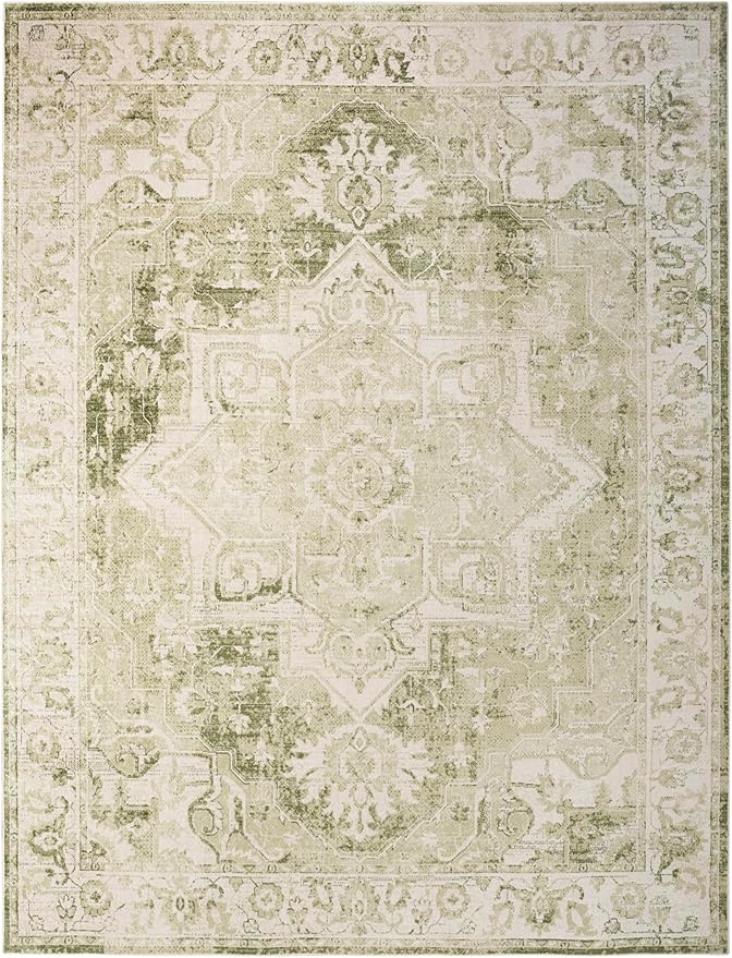Nourison Home Astra Machine Washable Ivory Green 9' x 12' Area Rug - Easy Clean, Non Shedding, Bed Room, Living Room, Dining Room, Kitchen (9' x 12')