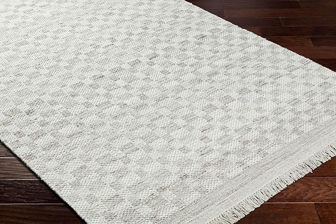 Mark&Day Wool Rugs, 6x9 Clinten Solid and Border Light Gray Checkered Rug, Grey Ivory Carpet for Living Room, Bedroom or Kitchen (6' x 9')