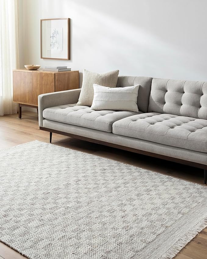 Mark&Day Wool Rugs, 8x10 Clinten Solid and Border Light Gray Checkered Rug, Grey Ivory Carpet for Living Room, Bedroom or Kitchen (8' x 10')