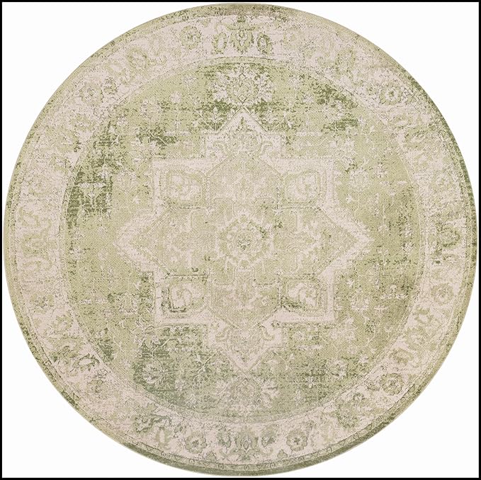 Nourison Home Astra Machine Washable Blue Green 7'10" x Round Area Rug - Easy Clean, Non Shedding, Bed Room, Living Room, Dining Room, Kitchen (8' x Round)