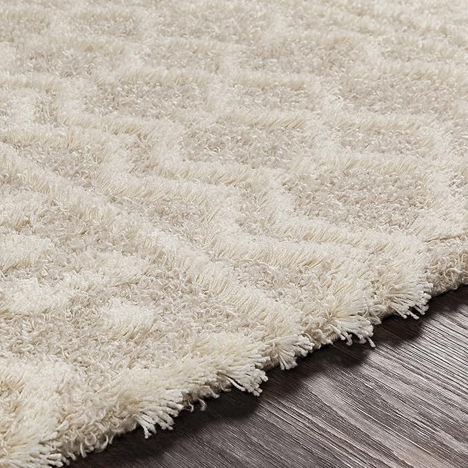 Livabliss Hapsburg Moroccan Shag Runner Area Rug,2'7" x 18',Beige