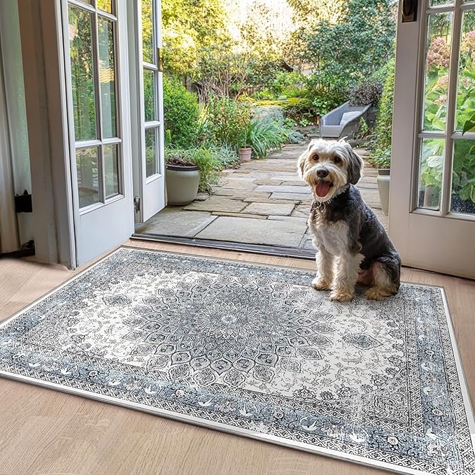 2’x3’ Entry Rug Welcome Mat Small Washable Indoor Door Rug Front Door Mat Non-Slip Blue