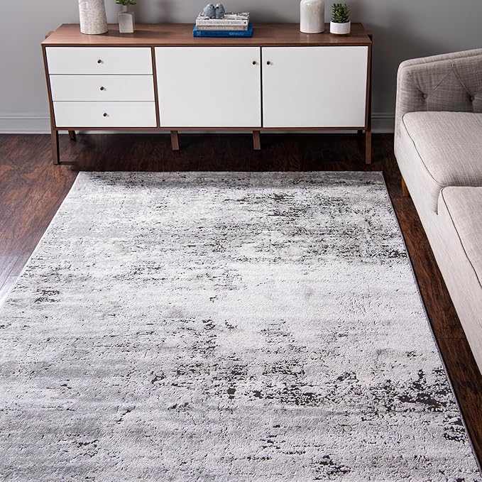Rugs.com Leipzig Collection Rug – 3x5 Gray Low-Pile Rug Perfect for Entryways, Kitchens, Breakfast Nooks, Accent Pieces