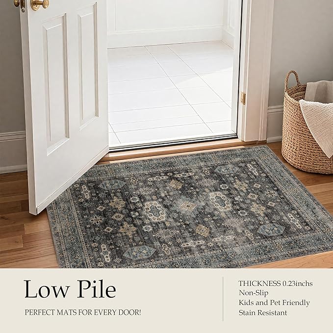 Area Rug Non Slip Machine Washable Ultra Soft Living Room/Bedroom/Kitchen/Outdoor/Classroom Silver, 2'×6'