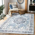 Area Rug 3×5, Vintage Boho Rug,Ultra-Soft Low Pile, Washable, Non Slip,Stain Resistant Printed Carpet for Living Room Bedrooms Playroom Office Kitchen, Light Blue