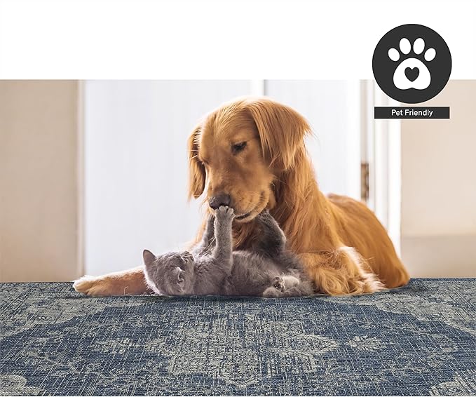FH Home Outdoor Rug - Waterproof Easy to Clean Stain Resistant - Patio Indoor Outdoor Porch Deck Balcony Entryway - Vintage Distressed - Gorgan - Blue - 5ft 2in x 7ft 6in