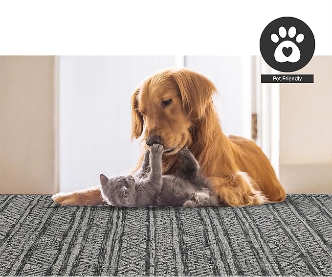 FH Home Outdoor Rug - Waterproof Easy to Clean Stain Resistant - Patio Indoor Outdoor Porch Deck Balcony Entryway - Striped Boho - Amman - Charcoal - 6' x 9'