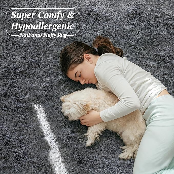 6x9 Area Rugs for Living Room Bedroom, Soft Fluffy Shaggy Bedside Rug, Indoor Floor Carpet for Kids Playroom, Dorms, Nursery Rooms, Home Decor (Grey 6'x9')
