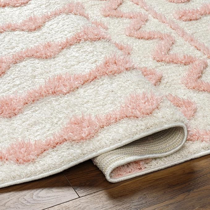 Hauteloom Darva Living Room, Bedroom Area Rug - Contemporary - Plush Pile - Pink - 6'7" x 9'