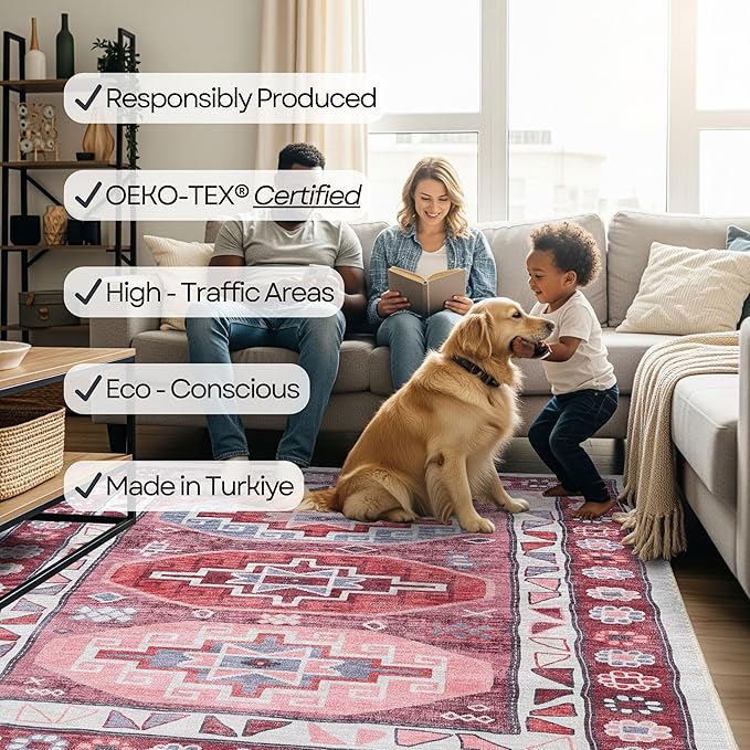 Turkish Rug. Washable Vintage Oriental Antique Inspired Traditional Doormat Small Modern Area Rugs Luxury Entryway Entry Bedroom Bathroom Kitchen (378RR, 2' x 3')