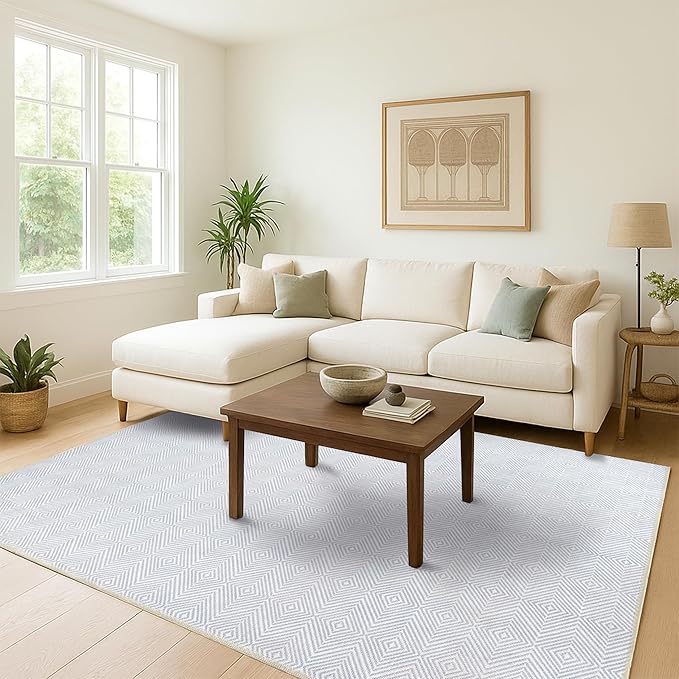 Fame Living Washable Area Rug. Modern Farmhouse. Vintage. Turkish. Bohemian. Distressed. Oriental. Traditional. Rugs for Living Room. Dining. Bedroom. Office. Entryway. Foyer. (864CC, 2'5" x 4'9")