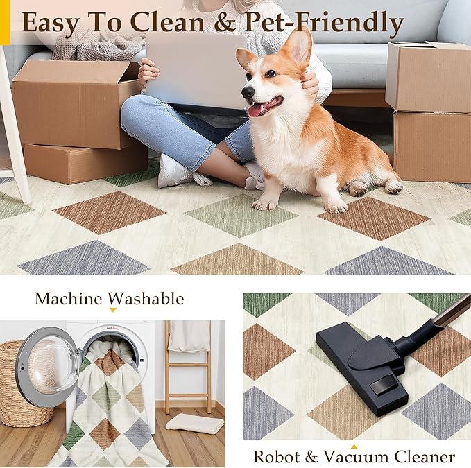 5x7 Checkered Area Rugs for Living Room Colorful Machine Washable Large Rug Non-Slip Stain Resistant Low Pile Boho Accent Indoor Throw Carpet for Office Bedroom Dining Room Classroom