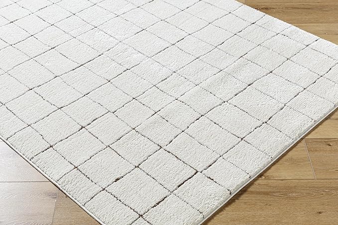 Livabliss x Our PNW Home Cascade Minimalist Area Rug, 6'7" x 9', Ivory