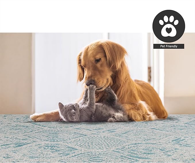 FH Home Flat Woven Outdoor Rug - Waterproof, Easy to Clean, Stain resistant - Premium Polypropylene Yarn - Distressed Farmhouse - Porch, Deck,Balcony,Laundry Room - Granada - Aqua - 2ft 7in x 4ft 11in