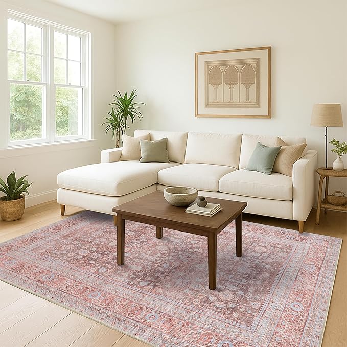 Fame Living Washable Area Rug. Modern Farmhouse. Vintage. Turkish. Bohemian. Distressed. Oriental. Traditional. Rugs for Living Room. Dining. Bedroom. Office. Entryway. Foyer. (860TT, 9' x 12')