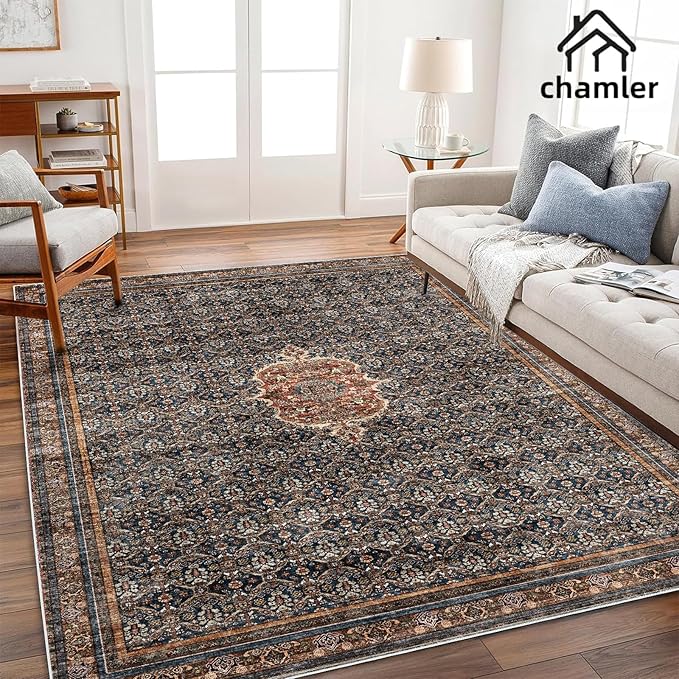 6x9 Washable Area Rug Boho Medallion Distressed Design Non-Shedding Easy Care Ideal for High Traffic Areas in Rugs for Living Room Bedroom Office Kitchen Large Carpet