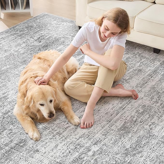 Area Rug Living Room Rugs - 6x9 Abstract Large Soft Indoor Washable Rug Neutral Modern Low Pile Carpet for Bedroom Dining Room Farmhouse Home Office - Vintage Grey