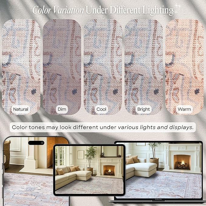 Fame Rugs Turkish Rug. Washable Vintage Oriental Antique Inspired Traditional Doormat Small Modern Area Rugs Luxury Entryway Entry Bedroom Bathroom Kitchen (403CC, 2'5 x 13'1)