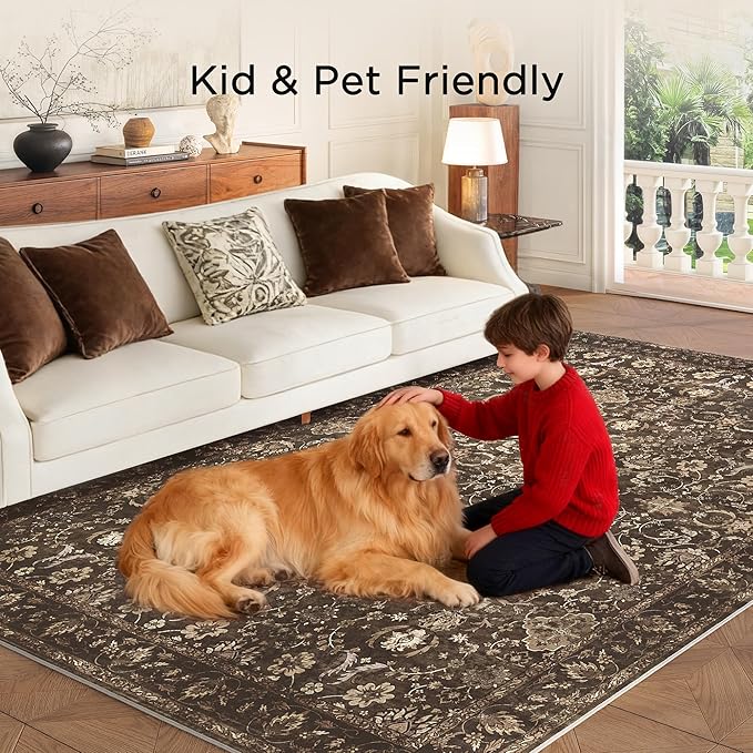 5X7 Area Rugs for Living Room, Soft Rugs Brown Washable Rug, Indoor Vintage Rugs for Bedroom Home Office Laundry, Rubber Backed Non Slip Low Pile Carpet, Dark Brown