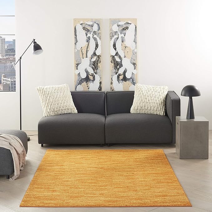 Nourison Home Nourison Essentials Sunburst 4' x 6' Area Rug - Easy Clean, Non Shedding, Bed Room, Living Room, Dining Room, Kitchen (4' x 6')