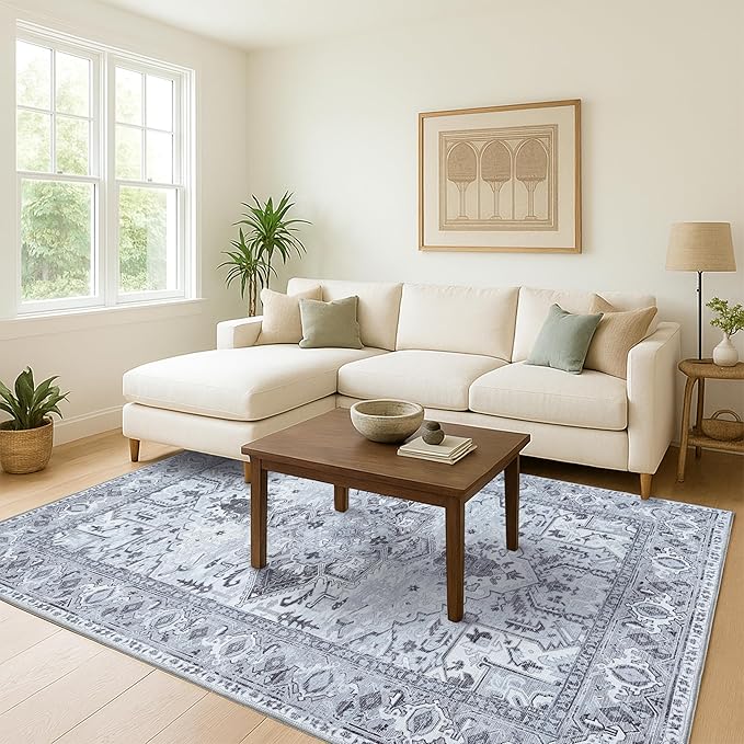 Washable Area Rug, Modern Farmhouse, Vintage, Turkish, Bohemian, Distressed, Oriental, Traditional, Rugs for Living Room, Dining, Bedroom, Office, Entryway, Foyer, (861GG, 2' x 3')