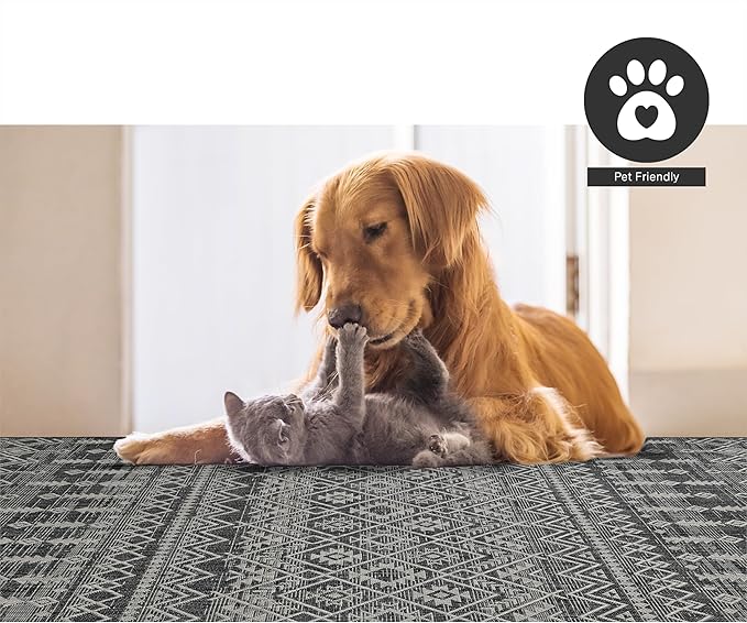 FH Home Flat Woven Outdoor Rug - Waterproof, Easy to Clean, Stain Resistant - Premium Polypropylene Yarn - Boho Moroccan - Large Patio, Deck, Sunroom - Dakar - Charcoal - 7ft 10in x 10ft 9in