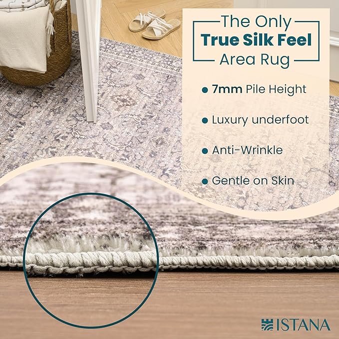 Istana 4x6 Rug - Pale Rose Beige Area Rugs 4x6 - Kid & Pet Friendly Machine Washable Rugs - 4 x 6 Area Rug Non Slip & Non Shedding Area Rug - Foldable Rug for Room for Bedroom