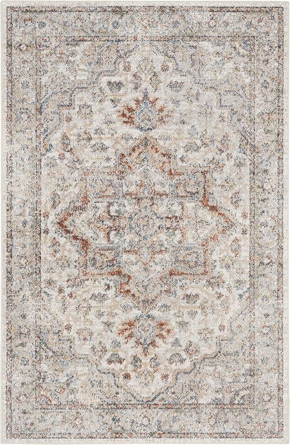 Nourison Home Astra Machine Washable Traditional Grey/Multi 4' x 6' Area Rug, Easy Cleaning, Non Shedding, Bed Room, Living Room, Dining Room, Kitchen (4x6)