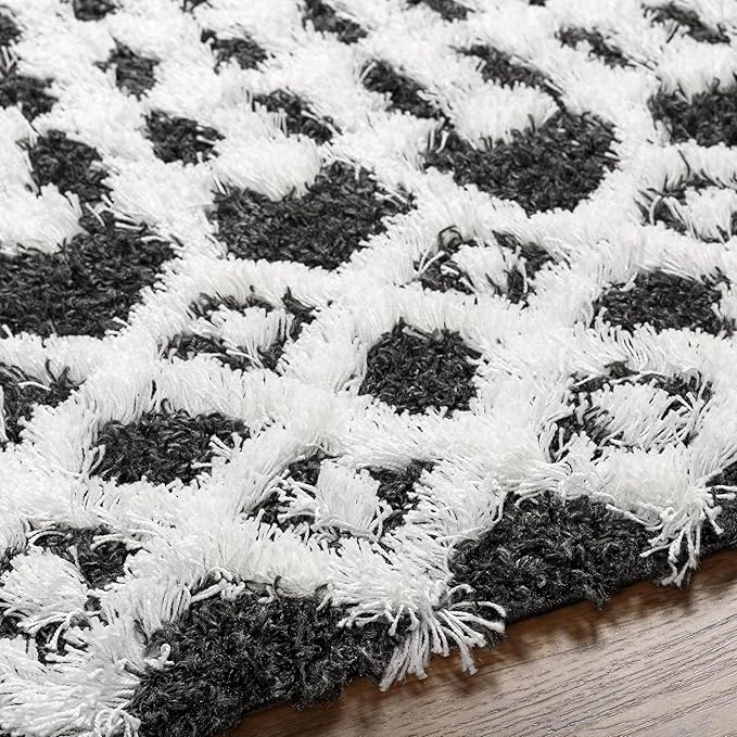 Livabliss Hapsburg Moroccan Shag Runner Area Rug, 2'7" x 7'3" , Black/White
