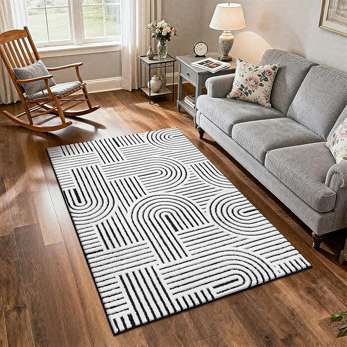 SHACOS Soft Cozy Fluffy Arch Pattern High Low Pile Rugs 3'x5' Non Slip Washable Scandinavian Minimalist Rug Modern Geometric Arc Carpet for Living Room Bedroom Dining Room, Black White