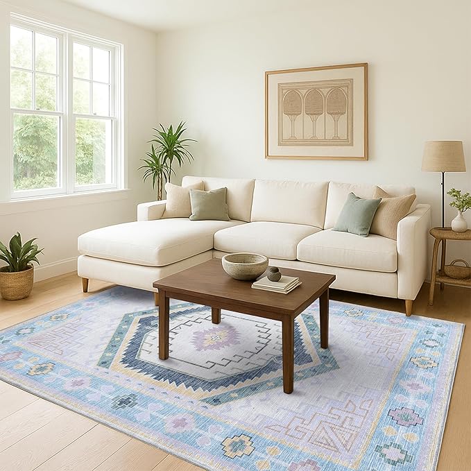 Fame Living Washable Area Rug. Modern Farmhouse. Vintage. Turkish. Bohemian. Distressed. Oriental. Traditional. Rugs for Living Room. Dining. Bedroom. Office. Entryway. Foyer. (856PBl, 2'5" x 6'5")