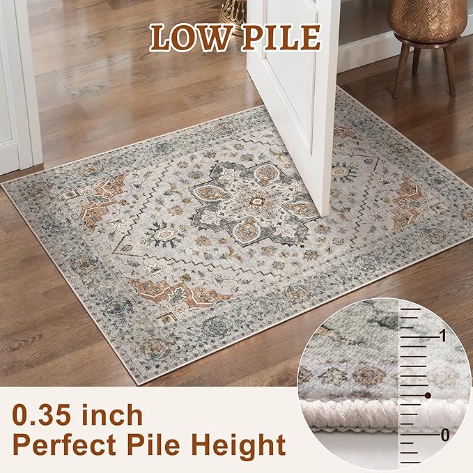 Tangsoo Vintage Small Washable Rugs for Entryway, 2x3 Rug Non Slip Grey Rug Throw Accent Indoor Front Door Distressed Door Mat, Soft Low Pile Area Rugs for Entrance Kitchen Bathroom