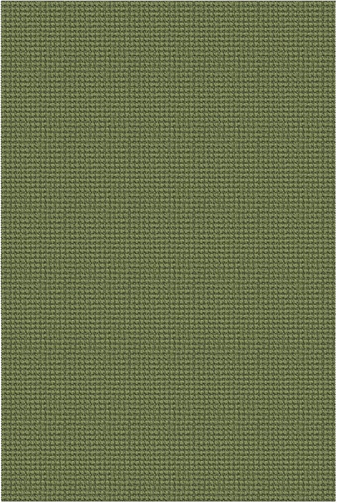 Braided Area Rug 3x5 Ft Washable Rugs for Entryway Non Slip Throw Rugs Boho Door Mat Indoor Entrance Cotton Kitchen Mats Woven Front Door Carpet for Foyer Living Room, Green