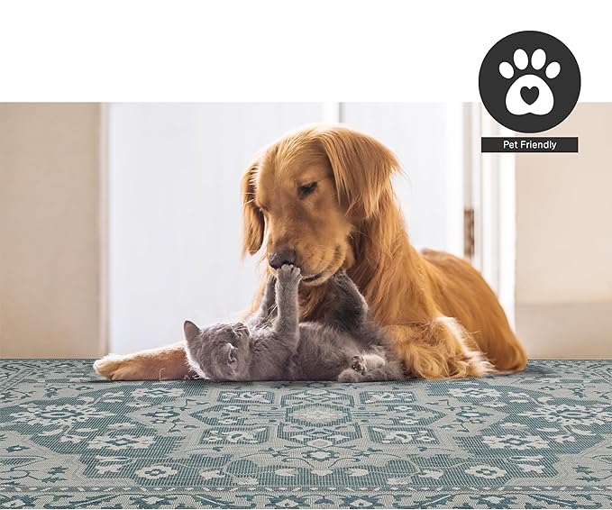 FH Home Flat Woven Outdoor Rug - Waterproof, Easy to Clean, Stain Resistant - Premium Polypropylene Yarn - Vintage - Large Patio, Deck, Sunroom - Shiraz - Ocean - 7ft 10 in x 10ft 9in