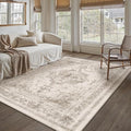 Area Rug 5x7 Beige Washable Living Room Carpet Non Slip Vintage Medallion Low Pile Soft Indoor Bedroom Retro Distressed Indoor Rug for Kitchen Home Office Laundry Dining Room
