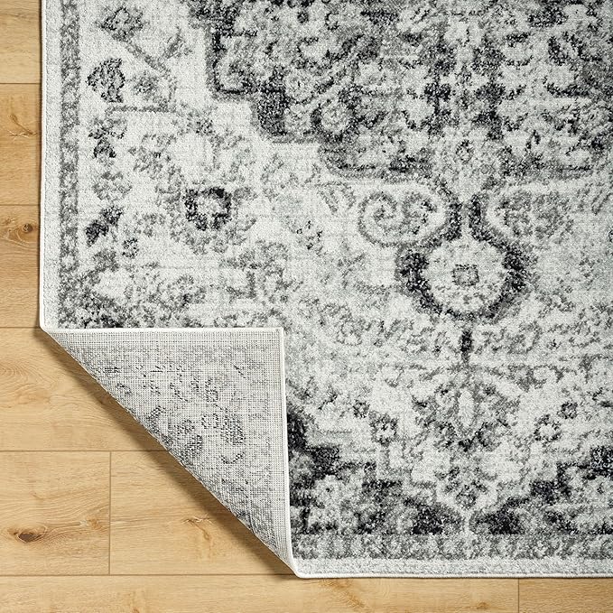 Livabliss Odelia Vintage Bohemian Area Rug,2' x 3',Black