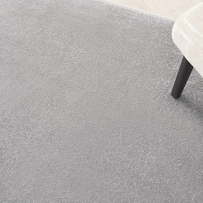 Nourison Home Nourison Essentials Silver Grey 4' x 6' Area Rug - Easy Clean, Non Shedding, Bed Room, Living Room, Dining Room, Kitchen (4' x 6')